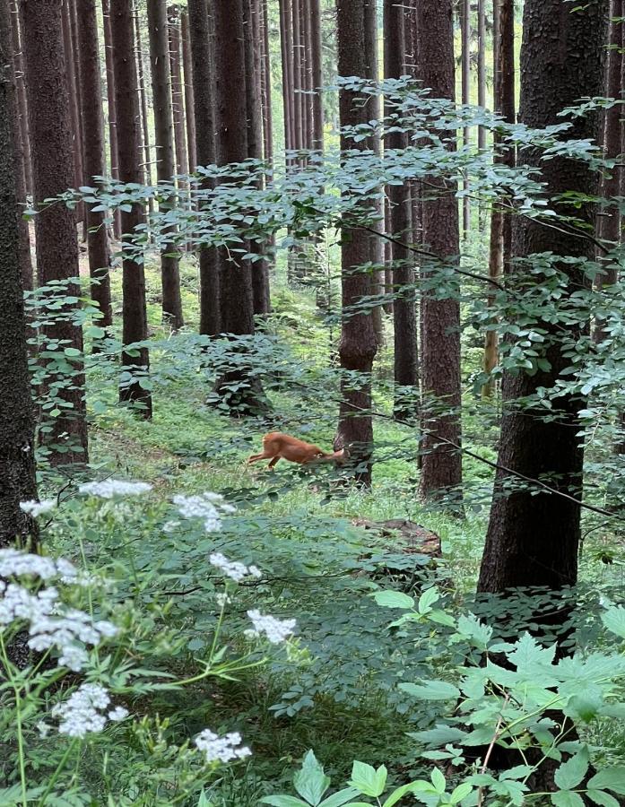 Chatka Pod Lysou Ostravice Buitenkant foto